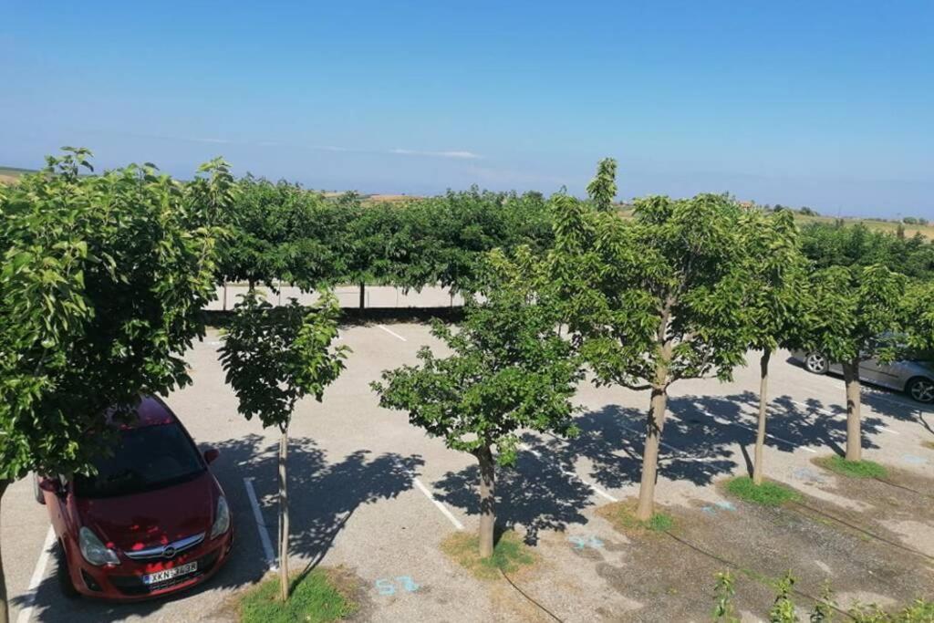 Deluxe Villa In Village Club Κασσάνδρα Εξωτερικό φωτογραφία